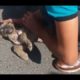 Rescue the Poor Dog Wandering the Streets |Animal Rescue TV