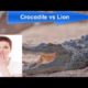 Rhino vs Lion Fight - Most Amazing Wild Animal Attacks - Animal Fights HD