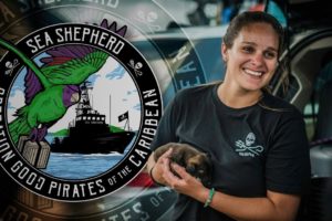 SEA SHEPHERD RESCUES ANIMALS FROM THE BAHAMAS