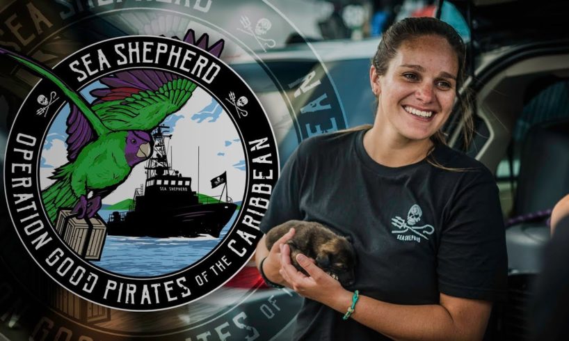 SEA SHEPHERD RESCUES ANIMALS FROM THE BAHAMAS