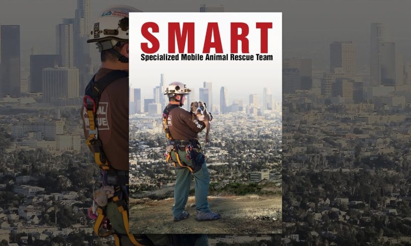 SMART: Specialized Mobile Animal Rescue Team