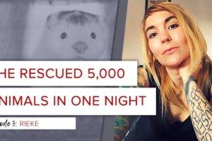 She Rescued 5,000 Animals In One Night
