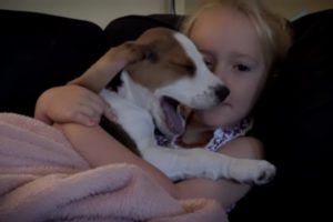 Sleepy Puppy Bonding with Little Owner | Puppy Falling Asleep On Child