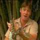 Steve Irwin's Wildest Animal Encounters (Part 1)