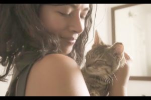 Street Cat Rescue - Kitten Season in Brooklyn