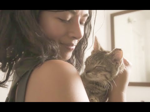 Street Cat Rescue - Kitten Season in Brooklyn