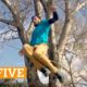 TOP FIVE: Flatland BMX, Slackline & Cardistry | PEOPLE ARE AWESOME 2017