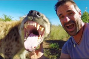 The Most Misunderstood Animal | The Lion Whisperer