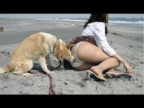 The Ultimate Girls Fail Compilation 2019 | Best Fails of September 2019