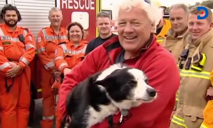 The dramatic, dangerous three-hour mission to rescue a dog stuck on a cliff
