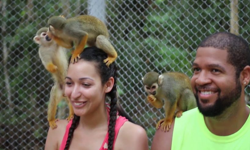WOW MOMENTS AT AKUMAL MONKEY SANCTUARY AND RESCUED ANIMALS