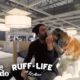What Happens When You Take 9 Dogs Furniture Shopping? | Ruff Life With Lee Asher