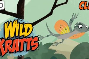 Wild Kratts - Exploring Animal Habitats