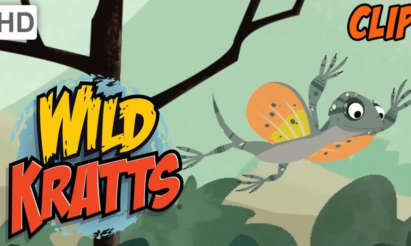 Wild Kratts - Exploring Animal Habitats