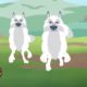 Wild Kratts - Showcasing Beautiful Animals #3 | Kids Videos