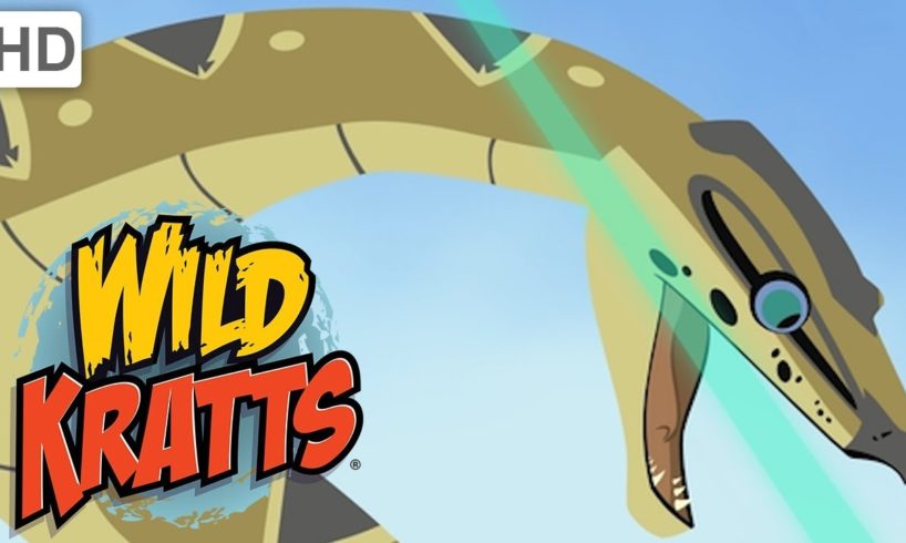 Wild Kratts - The Roughest, Toughest Animals in the Wild | Kids Videos