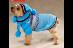 كلاب بأجمل الملابس،cute puppies with clothes, cute dogs