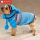 كلاب بأجمل الملابس،cute puppies with clothes, cute dogs