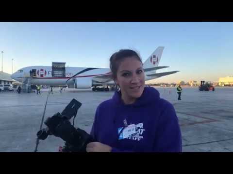 3 former circus tigers from Guatemala rescued by Animal Defenders International are landing at Miam