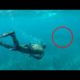 4 Shark Encounters That Will Give You Anxiety
