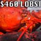 $6 Lobster VS $460 Lobster in Vietnam!!! (Biggest Lobster in Vietnam!)
