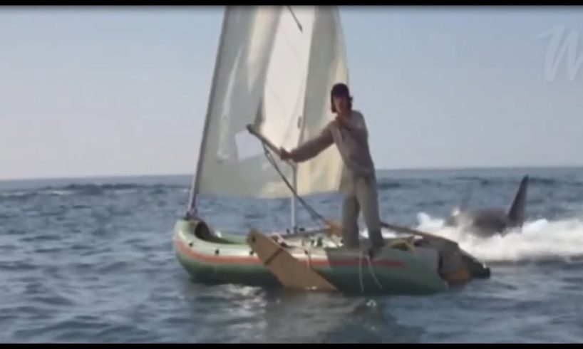 7 SCARIEST SHARK ENCOUNTERS CAUGHT ON CAMERA – Terrifying close calls