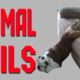 Animal Fails of the Week 1 June 2016 - Animal Fail Videos - Animal Fails Compilation 2016