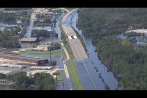 Animals being rescued in Lumberton after flooding