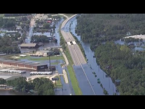 Animals being rescued in Lumberton after flooding