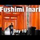 Beautiful Fushimi Inari Shrine & Herring Soba Noodles