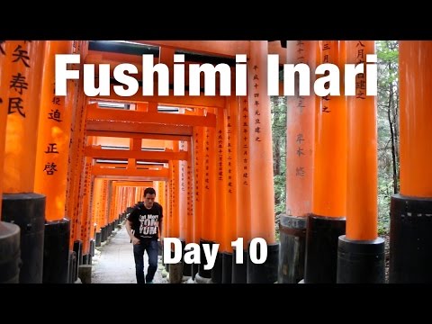 Beautiful Fushimi Inari Shrine & Herring Soba Noodles