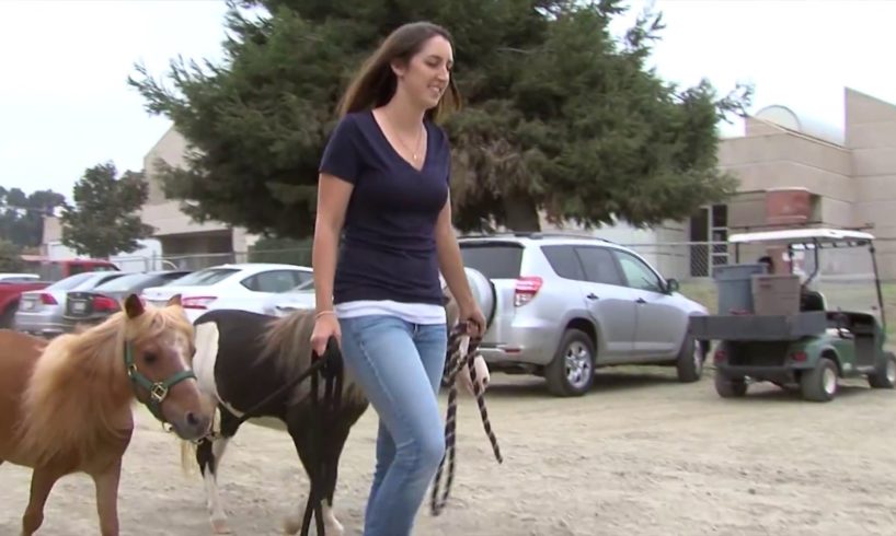 Bella and Daisy, Rescued Animal Ambassadors