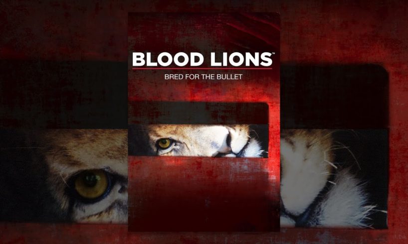 Blood Lions