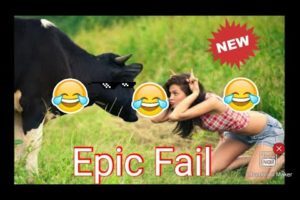 CRAZIEST MOST EPIC FAILS OF THE YEAR!!! ????  || LATEST 2019