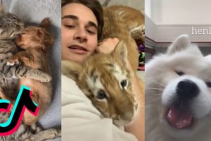 CUTE TIK TOK COMPILATION #9 | Adorable Pets I found on Tiktok