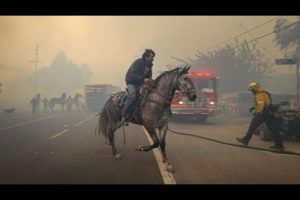 California wildfires cause people and their animals to flee