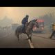 California wildfires cause people and their animals to flee