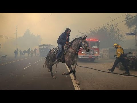 California wildfires cause people and their animals to flee