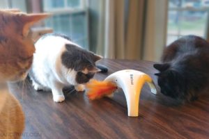 Cats Play with Pet Droid Feather Spinner Interactive Cat Toy