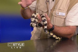 Connecticut's Beardsley Zoo brings three rescued animals