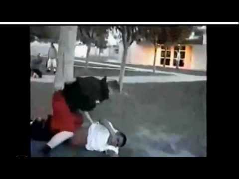 Crazy Hood Fights 4 Guys Vs A Gangster With A Gun