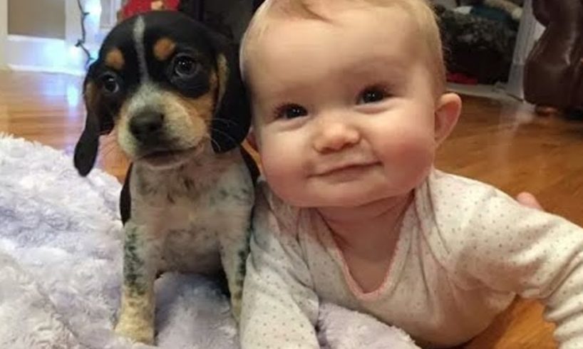 Cute Puppies and Babies Playing Together Compilation 2019 #4