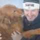 Dogs Reunited With Their Families | The Dodo Top 5