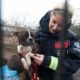 Emaciated Dog Rescued from a Puppy Mill