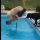 Epic win & fail compilation - People are awesome#1 || MoVideo
