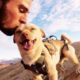 Fearless Rescue Dog Jumps Off Cliffs With His Dad | The Dodo