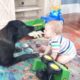 Funny Baby And Animals video 2019/2020_baby and pets video/funny videos hks#2