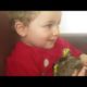 Funny Baby Playing With Animal Compilation - (FUNNY VIDEO 2019)