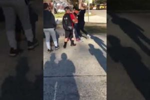 Funny ass girl fight