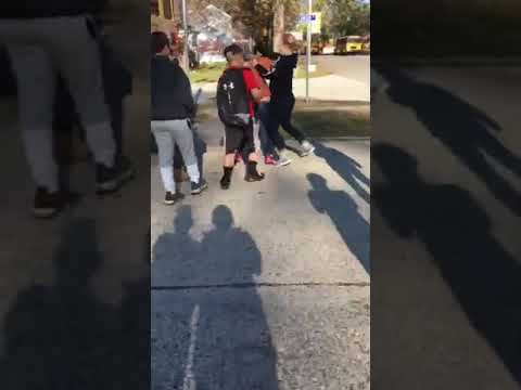 Funny ass girl fight